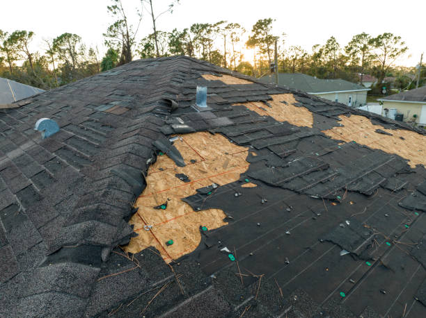 Best Roof Leak Repair  in Wales, WI