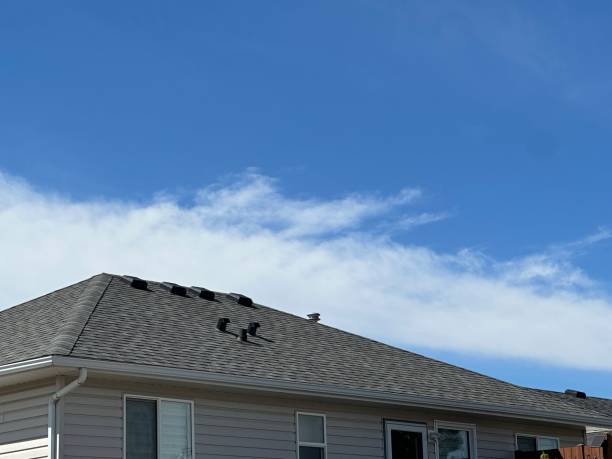 Best Gutter Installation and Repair  in Wales, WI